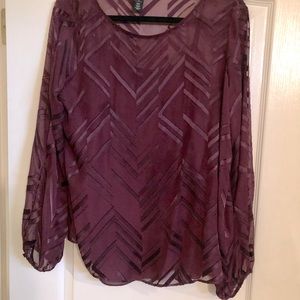 WHBM Blouse with Matching Camisole